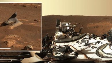 Photo of Ideal Photos, Video clip of NASAâ€™s Perseverance Mars Roverâ€™s To start with Two Weeks