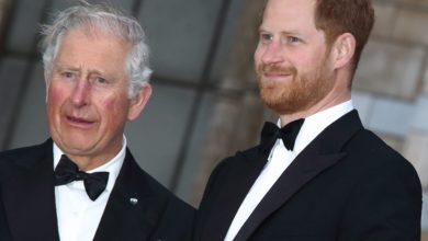 Photo of Prince Harry & Prince Charles Have not Totally Repaired Romance However