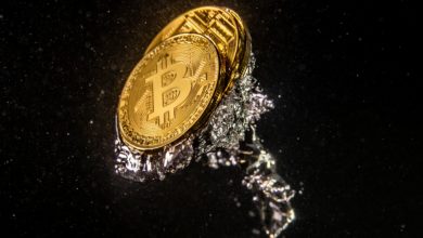 Photo of Bitcoin Wipes Out 2021 Gains—Experts Weigh in on The place It is Headed