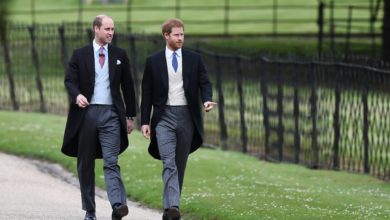 Photo of Prince William, Harry Will Meet up with in Personal Right after Diana Statue Ceremony