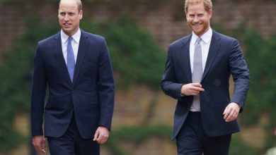 Photo of Prince Harry, Prince William Reunite at Diana Statue Unveiling: Images