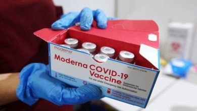 Photo of Moderna’s COVID-19 Vaccine Creates Double Antibodies as Pfizer: Examine