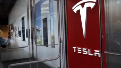 Photo of Tesla Inventory Could Leap Earlier $1,000, Claims Best Wall Street Fund Manager