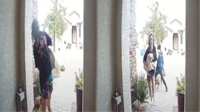 Photo of The girl was seen walking her dog, then the stray dog ​​attacked, watch the viral video