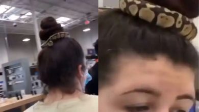 Photo of The woman went to the shopping mall after tying the snake in her hair!  You will be stunned to see the viral video