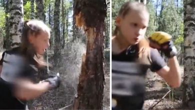 Photo of 12 year old girl broke the tree by throwing punches, you will be stunned by watching the video
