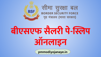 Photo of BSF Pay Slip Online: BSF Salary Pay Slip 2022 BSF Payslip App
