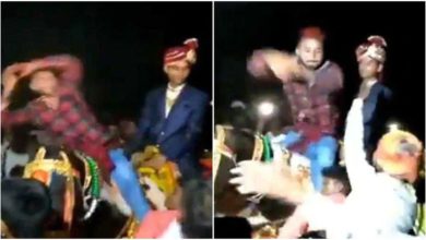 Photo of Climbing on the groom’s mare, the man did the serpent dance like this, the users laughed and laughed after watching the video