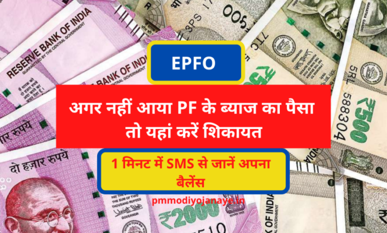 EPFO: If PF interest does not come PF Account Interest then complain here