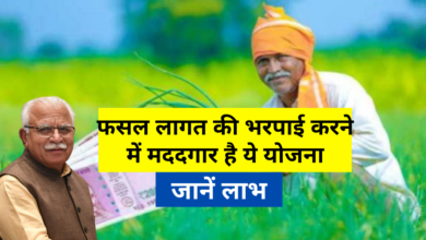 Photo of Horticulture Insurance Scheme: This scheme is helpful in compensating the cost of crop, know the benefits