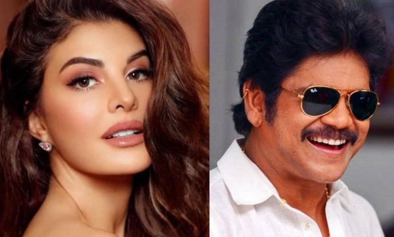 Jacqueline Fernandez out of Nagarjuna Akkineni's film 'The Ghost', this reason came to the fore