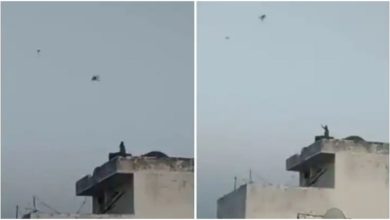 Photo of Monkeys also did kite flying fiercely on Makar Sankranti, video went viral on social media