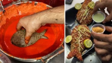 Photo of Now the video of Vegetarian fish fry went viral, people said – in this way 2Kg will come real brother!