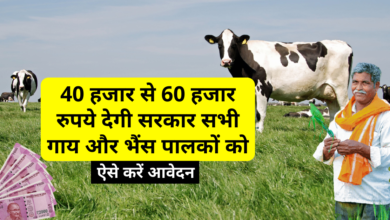 Photo of Pashu Palak Credit Card Yojana: Government will give 40 thousand to 60 thousand rupees to all cow and buffalo farmers