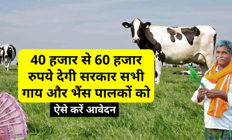 Pashu Palak Credit Card Yojana: Government will give 40 thousand to 60 thousand rupees to all cow and buffalo farmers