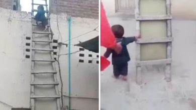 Photo of People were surprised to see the child slipping down the ladder, people said – send it to the Olympics, brother!