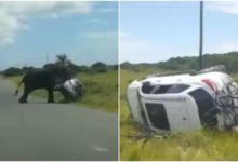 Photo of Shocking!  Angry ‘Gajraj’ overturned SUV midway, users were surprised to see the video