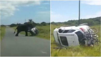 Photo of Shocking!  Angry ‘Gajraj’ overturned SUV midway, users were surprised to see the video