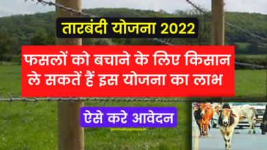 Photo of Tarbandi Scheme 2022: Farmers can take advantage of this scheme to save their crops