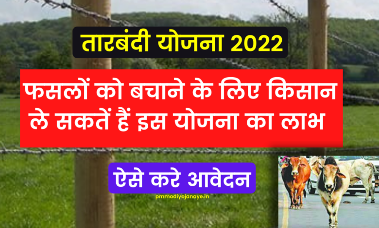 Tarbandi Scheme 2022: Farmers can take advantage of this scheme to save their crops