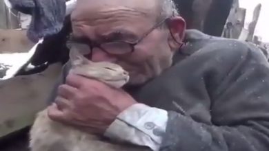 Photo of The house burnt down, but the pet cat’s life was saved, the elderly cried with joy, this VIDEO will make you emotional