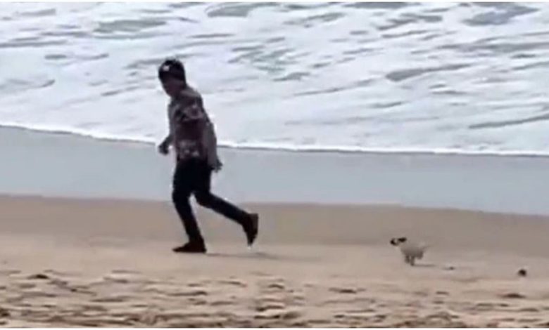 The little dog had a lot of fun with his owner on the seashore, watching the video, people said- So Cute