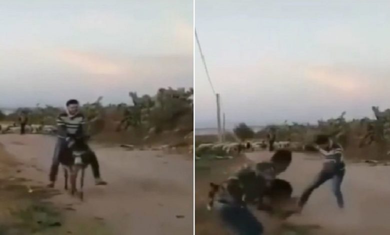VIDEO: The boy was riding a donkey with pleasure, then the friend scared him in such a way that the animal ran while falling