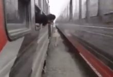 Photo of When the horse got stuck between two trains and started running, this short video gave the biggest lesson of life