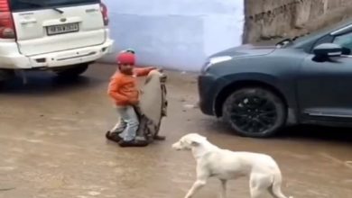Photo of Fantastic video that went viral on social media, you will also be able to say – ‘Wow…bhai ho to aisa’