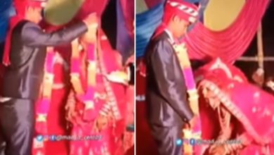 Photo of The bride was stunned by the groom’s actions during Jaimala, see what is the matter in the video