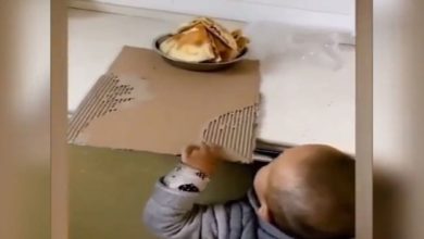 Photo of VIDEO: The child tried to take the food off the top, people said – it is called ‘full use of the mind’