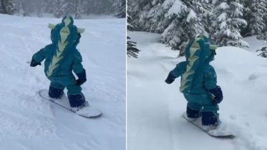 Photo of Video of 4-year-old child skating goes viral, people said – ‘I wish we were also at that age’