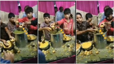 Photo of Viral: Children served golgappas in a special way at the wedding, after watching the video people said – whoever eats it, just become immortal..!