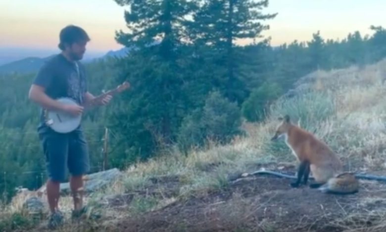 Viral: This video of man and fox is creating panic on the internet, has more than 10 million views