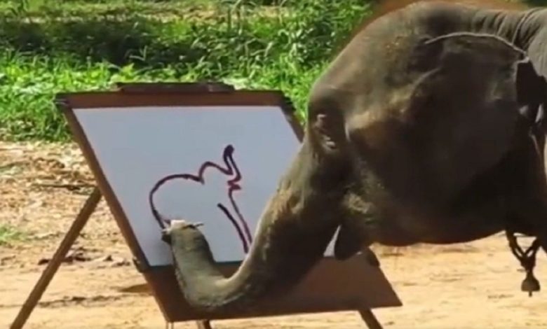 Viral Video: Have you ever seen an elephant painting?  this video will surprise you