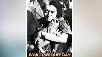Photo of Indira Gandhi’s picture with a baby tiger in her lap went viral, people doing such things on Twitter