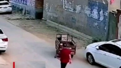Photo of Suddenly the e-rickshaw started running on the road, the shocking video went viral, people said – will definitely be Mr India