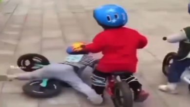 Photo of The child fell at the beginning of the race, then see what happened in the end… Heart will be happy to see the video