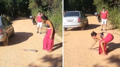 Photo of The girl caught the dangerous snake like this and kept it on the roadside, you will be stunned to see the video