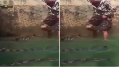 Photo of The man jumped into a pond full of crocodiles, then seeing what happened, people said – he is a player of dangers