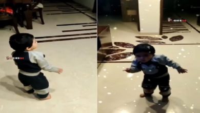 Photo of VIDEO: Even a small child has a shadow of ‘Pushpa’, won the hearts of people by doing dance steps of Srivalli song