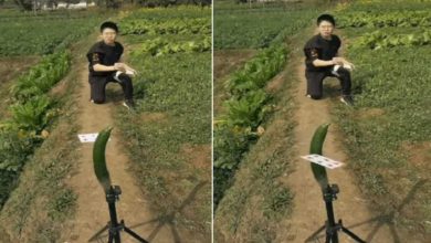 Photo of VIDEO: The young man showed amazing talent, people said – ‘This is the wonder of Photoshop’