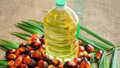 Photo of Another hit of inflation: Indonesia stopped the export of palm oil from today, know what will be the effect on India