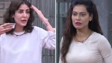 Photo of Lock Upp: Payal Rohatgi called Mandana Karima ‘uneducated’, said – you will not be educated by wearing small clothes…