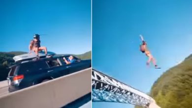 Photo of VIDEO: Man jumped off the bridge from a moving vehicle, people pressed their fingers under their teeth after seeing dangerous stunts and courage