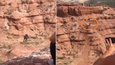 Photo of VIDEO: The girl did such a dangerous stunt on a bicycle, she will stand up after seeing her