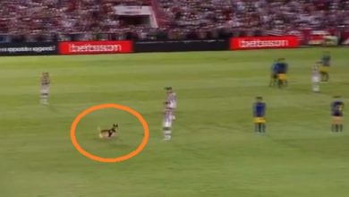 Photo of VIDEO: When the dog entered the field in the middle of the football match and started having fun, this video is funny