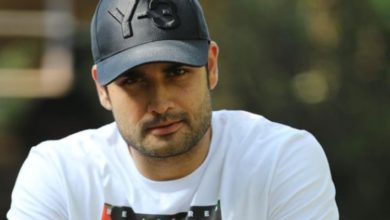Photo of Vivian Dsena Girlfriend: Vivian Dsena is in love with his own fan, ‘Madhubala’ actor is giving heart to this journalist