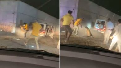 Photo of Leopard Attack Video: Dangerous video of leopard attack goes viral, jumps and kills policemen