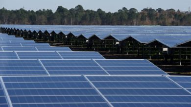 Photo of Sharp increase in the country’s solar power capacity, 50 percent growth in March quarter compared to last year – Report